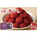 加工品等 梅干 梅干し しそ 南高梅 1kg