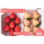ショッピングふるさと納税 いちご ふるさと納税 いちご 埼玉県 横瀬町  数量限定 紅白いちご2パック「あまりん（赤）」250g×1パックと「淡雪（白）」250g×1パック | いちご イチゴ 苺 あまり…