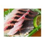 ふるさと納税 旬の鮮魚等 高知県 宿毛市 宿毛の魚ふるさと宅急便 B