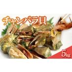 魚貝類 チャンバラ貝 約5kg