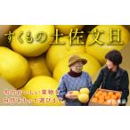 ふるさと納税 みかん・柑橘類 高知県 宿毛市 有田食品の土佐文旦10kg家庭用