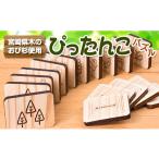 文房具 玩具 木の温もり 知育玩具 おもちゃ