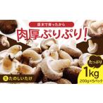 fu.... налог овощи вид .. . Hokkaido толщина подлинный блок . дерево сырой ....1kg(200g×5 упаковка ){ толщина подлинный блок } акционерное общество . хочет сырой ........ . грибы небольшое количество . Hokkaido...
