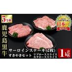 牛肉 サーロイン a245 E-301 鹿児島黒牛サーロインステーキ…