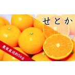 ふるさと納税 みかん・柑橘類 和歌山県 有田市 せとか（約5kg）(A139-1)