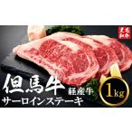 牛肉 ステーキ 但馬牛経産牛 サーロインステーキ 200g×5枚