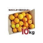 ふるさと納税 みかん・柑橘類 和歌山県 有田市 訳アリ 旬のかんきつ詰め合わせ 10kg(A145-4)