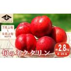 ショッピングふるさと納税 桃 ふるさと納税 もも 長野県 小布施町 旬のネクタリン 約2.8kg 8〜25玉 ［小布施屋］ 果物 フルーツ 桃 もも 長野県産 小布施 冷蔵便 クール便 産地直送 数量限…