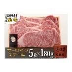 牛肉 サーロイン 宝牧場近江牛プレミアムサーロインステーキ