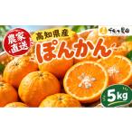 みかん 柑橘類 千光士農園のポンカン 5kg
