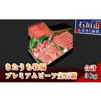 牛肉 セット AM-1 きたうち牧場プレミアムビーフ宝石箱 合…