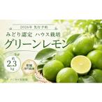 みかん 柑橘類 レモン グリーンレモン 約2.3kg