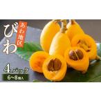 ふるさと納税 果物類 びわ 高知県 須崎市  早期予約受付 5月中旬頃より順次発送 びわ フルーツ 果物 おすすめ 6 ~8個 4 パック 約 1.2kg 旬 果実 ギフト 枇杷 …