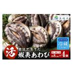 ふるさと納税 魚貝類 アワビ 兵庫県 香美町  冷蔵 活あわび 養殖 8cm×4枚 280〜320g (1個70〜80g） 満点青空レストラン うまい おせち2023に採用されました …