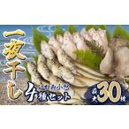 ふるさと納税 干物 鳥取県 岩美町 いわみ小包(海) 海産物一夜干し |鳥取 岩美 干物 ひもの 詰合せ 24001