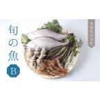 旬の鮮魚等 旬の魚おまかせセットB 21002