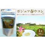 健康食品 ガジュツ春ウコン 粒 1袋