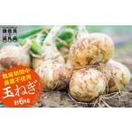 野菜類 玉ねぎ 栽培期間中肥料 農薬不使用