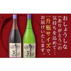 ふるさと納税 ワイン 赤ワイン 山形県 南陽市 大浦葡萄酒 おしょうしなワイン 1800ml (赤、白) 『(有)大浦葡萄酒』 山形県 南陽市 6