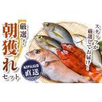 旬の鮮魚等 厳選 朝獲れセット C39