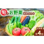 セット 詰合せ 定期便年4回 阿波の国 旬のお野菜詰め合わせ…