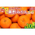 ふるさと納税 果物類 みかん 佐賀県 太良町 かねひろの黒酢みかん（大玉）2L〜3L 新鮮 黒酢アミノ酸 みかん 蜜柑 ミカン 温州みかん 柑橘 果実 フルーツ 果物 …