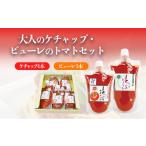 たれ ドレッシング 酢 おとなのケチャップ