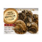 魚貝類 アワビ H22-172.竹中水産の定期便2回