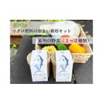 花 苗木 食彩GARDEN三浦やさい栽培キット&旬野菜