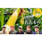 とうもろこし 令和8年産 朝採り 農家直送