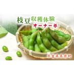 千葉県長南町 枝豆オーナー体験チケット