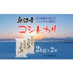 ふるさと納税 米 コシ