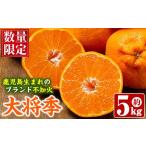 ふるさと納税 みかん・柑橘類 デコポン 鹿児島県 阿久根市  先行予約受付中 2026年1月以降順次発送予定 数量限定 鹿児島で生まれたオリジナル品種「大将季」(…