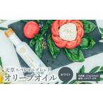 食用油 オリーブオイル S004-002_天草スペシャルブレンドオ…