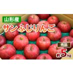 ふるさと納税 りんご 山形県 山形市 山形のサンふじりんご 秀品 約5kg(10〜25玉) FZ18-211