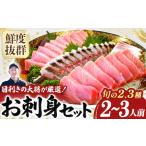 カツオ 旬な海の幸をお届け 大将のおまかせ刺身2~3種類盛