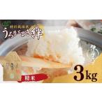 ふるさと納税 米 コシ�