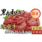 牛肉 焼肉 バーベキュー 球磨牛 くまもと黒毛和牛