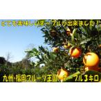 みかん 柑橘類 AA185.九州 福岡フルーツ王国.農家直送.ネー…