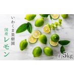 ふるさと納税 みかん・柑橘類 レモン 福岡県 新宮町 AA079.貴重な国産レモン.約5kg.新宮町産の逸品です／2026年9月〜2027年2月発送予定