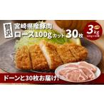贅沢 産豚肉ロース100gカット30枚_K16_0018_4
