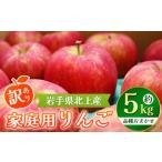 ふるさと納税 りんご 岩手県 北上市 2025年9月発送開始予定の予約受付 りんご 約 5kg 北上産 岩手県産 リンゴ 林檎 黄王 つがる ジョナゴールド 星の金貨 ス…