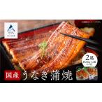 うなぎ 真空パック うなぎ蒲焼 約200g×2尾