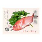 脂 金目鯛