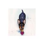 木工品 竹工品 D-109W5 ミニチュアピンシャー-犬の振り子時…