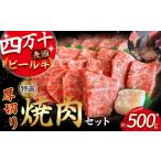 牛肉 焼肉 バーベキュー 四万十麦酒牛 厚切り特選焼き肉セ…