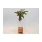 木工品 竹工品 花びいどろ ガラス一輪挿し