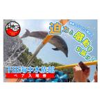 fu.... налог входной билет * пригласительный билет Shizuoka префектура внизу рисовое поле город аквариум входить павильон билет пара входной билет талон внизу рисовое поле море средний аквариум море дельфин пингвин ka wow so.... body . туристический путешествие Shizuoka...