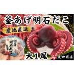 fu.... налог осьминог Hyogo префектура Akashi city ....... котел .. Akashi .. большой 1 хвост 