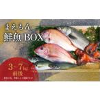 旬の鮮魚等 まえもん鮮魚BOX 類 魚貝類